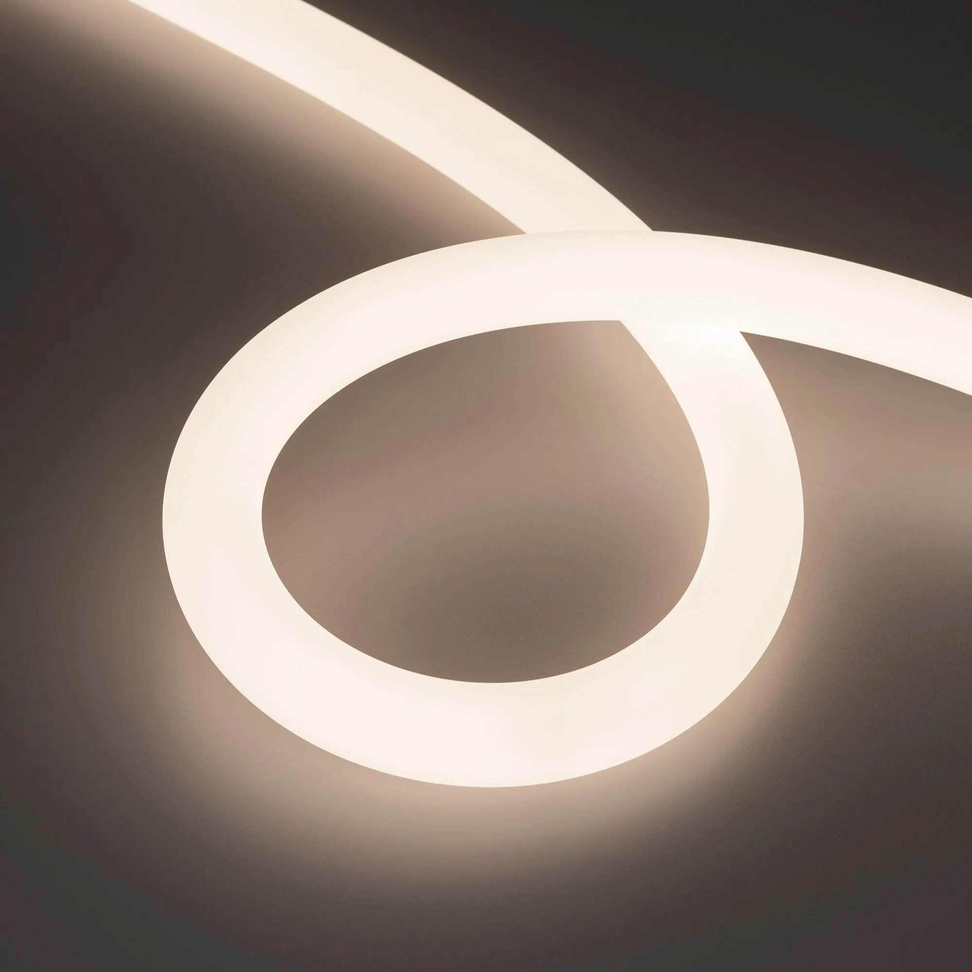 Лента светодиодная герметичная MOONLIGHT-TOP-A336-D25mm 48V Day4000 360deg (12.5 W/m, IP65, 2835, 20m, wire x1) (Arlight, Вывод прямой, 3 года) - изображение товара