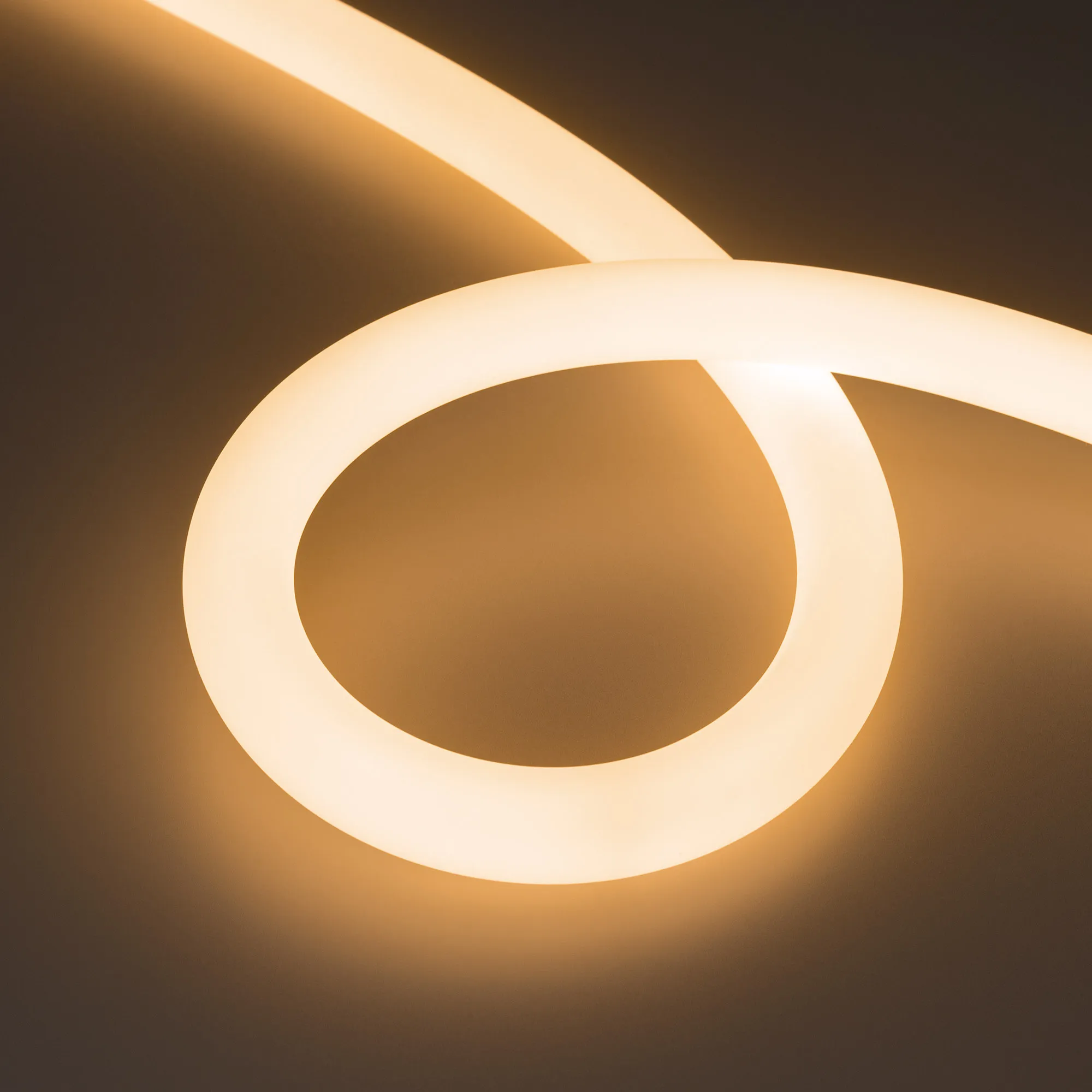 Лента светодиодная герметичная MOONLIGHT-TOP-FP-X1088-D25mm 24V Warm2700 (20 W/m, IP65, 5m, wire x1) (Arlight, Вывод прямой, 3 года) - изображение товара